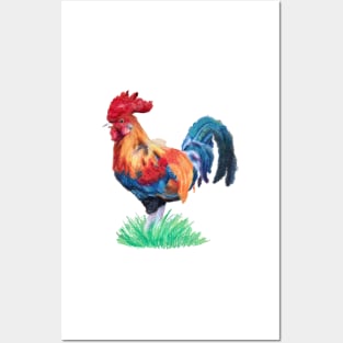 Oil Pastel Rooster Posters and Art